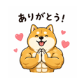 837445336