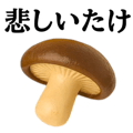 837445842