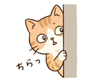 837447086