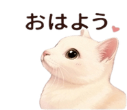 837447593