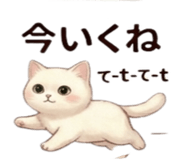 837447612