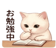837447613