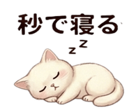 837447616