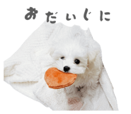 837448892