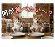 837449764