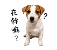 837453105