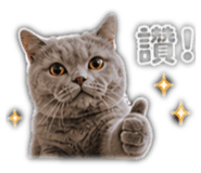 837454027