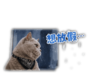 837454036