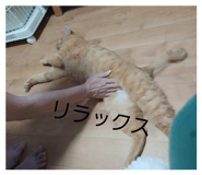 837454499
