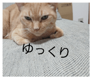 837454504
