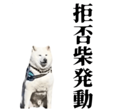 837455450