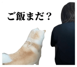 837455457