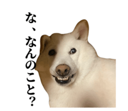 837455459