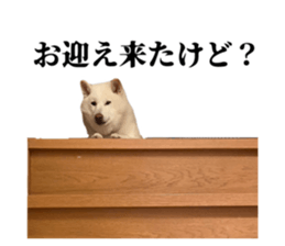 837455460