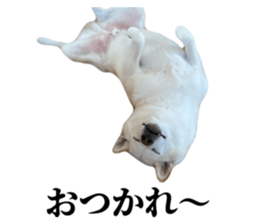837455464