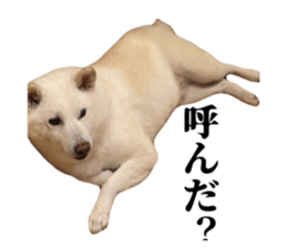 837455466