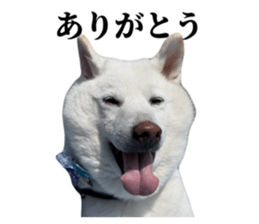 837455468