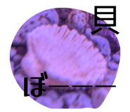 837468370