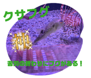 837468376
