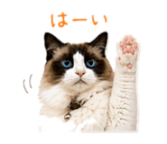 837483064