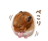 837483098