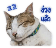 837489505