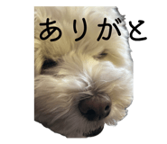 837490281