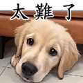 837491079