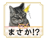 837498748