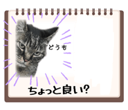 837498751