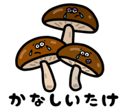 837500727