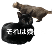 837502897