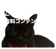 837502899