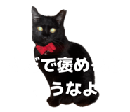 837502904