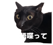 837502905