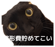 837502906