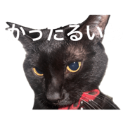 837502908