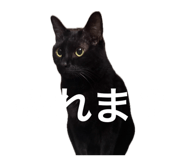 837502910