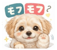 837504242