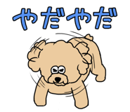 837504296