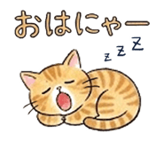 837504443