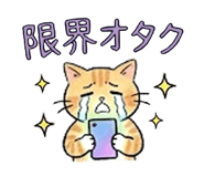 837504462