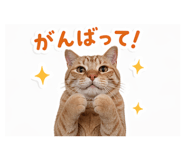 837507512