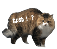 837508245