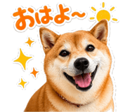 837509217
