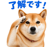 837509221