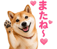 837509222