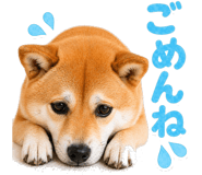 837509224