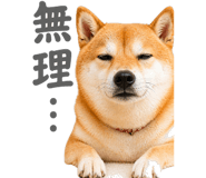 837509225