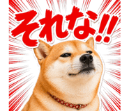 837509226